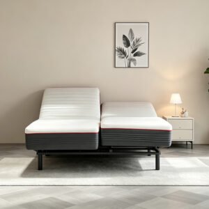 AirSleep Smart Bed Mattress S1 Split Type